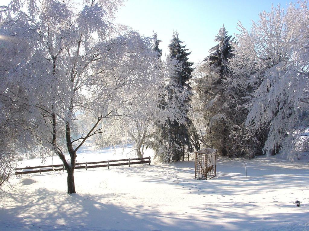 Fewo Holms Winterberg Rom bilde